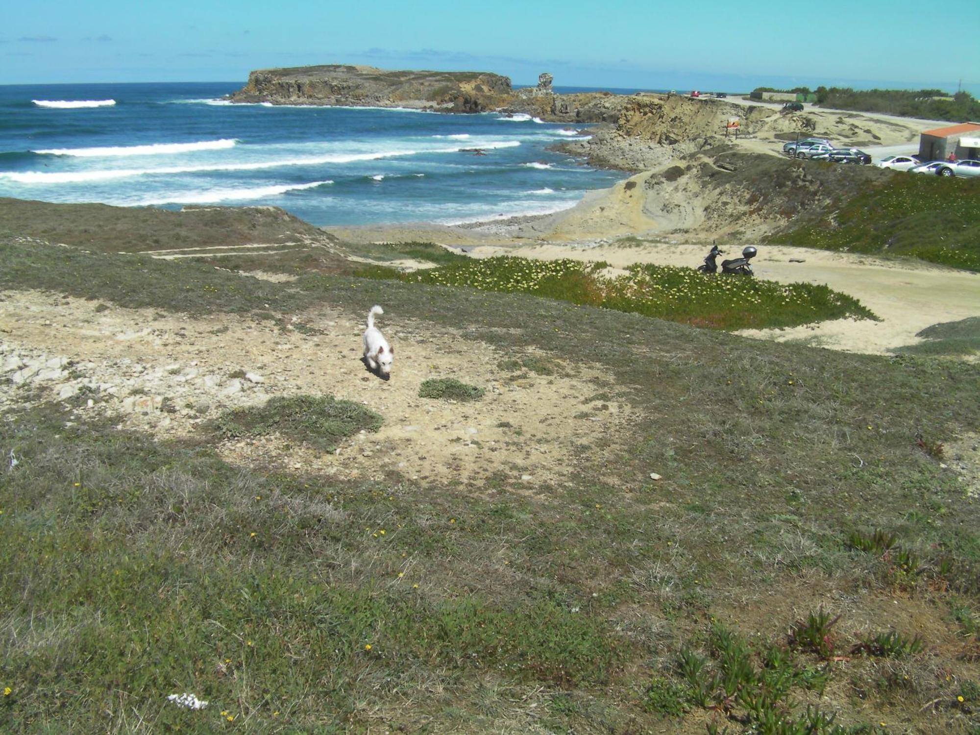 Peniche Surf Lodge 1 מראה חיצוני תמונה